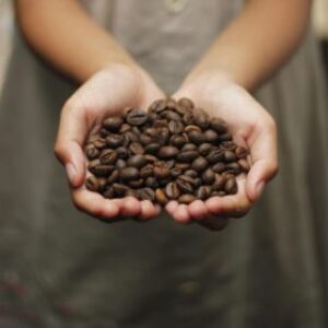 Group logo of Coffee Addicts