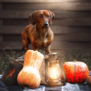 Group logo of Architecture